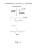 Production of Isoprenoids diagram and image