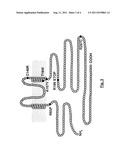 Loss of Function mutations in KCNJ10 cause SeSAME, a human syndrome with     sensory, neurological, and renal deficits diagram and image