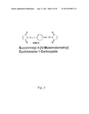 SYSTEMS AND METHODS FOR THE DETECTION OF BIOMARKERS diagram and image