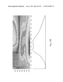 SYSTEMS AND METHODS FOR THE DETECTION OF BIOMARKERS diagram and image