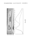 SYSTEMS AND METHODS FOR THE DETECTION OF BIOMARKERS diagram and image