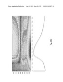 SYSTEMS AND METHODS FOR THE DETECTION OF BIOMARKERS diagram and image