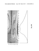 SYSTEMS AND METHODS FOR THE DETECTION OF BIOMARKERS diagram and image