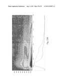 SYSTEMS AND METHODS FOR THE DETECTION OF BIOMARKERS diagram and image