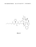 Polymorphs of N-Malonyl-Bis(N -Methyl-N -Thiobenzoylhydrazide) diagram and image