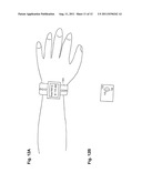 BIOLOGICAL INFORMATION DETECTOR AND BIOLOGICAL INFORMATION MEASURING     DEVICE diagram and image