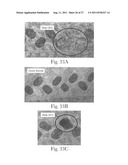 Web Material(s) for Absorbent Articles diagram and image