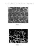 DEGRADATION RESISTANT IMPLANTABLE MATERIALS AND METHODS diagram and image