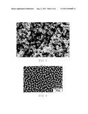 DEGRADATION RESISTANT IMPLANTABLE MATERIALS AND METHODS diagram and image