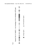 METHODS AND COMPOSITIONS FOR TRANSGENIC PLANTS WITH ENHANCED ABIOTIC     STRESS RESISTANCE AND BIOMASS PRODUCTION diagram and image