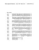 METHODS AND COMPOSITIONS FOR TRANSGENIC PLANTS WITH ENHANCED ABIOTIC     STRESS RESISTANCE AND BIOMASS PRODUCTION diagram and image