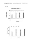 METHODS AND COMPOSITIONS FOR TRANSGENIC PLANTS WITH ENHANCED ABIOTIC     STRESS RESISTANCE AND BIOMASS PRODUCTION diagram and image