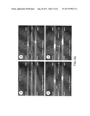 AMPLIFIED ELECTROKINETIC FLUID PUMPING SWITCHING AND DESALTING diagram and image