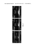 AMPLIFIED ELECTROKINETIC FLUID PUMPING SWITCHING AND DESALTING diagram and image