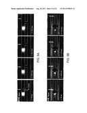 AMPLIFIED ELECTROKINETIC FLUID PUMPING SWITCHING AND DESALTING diagram and image