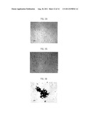 AQUEOUS DISPERSION OF FINE CARBON FIBERS, METHOD FOR PREPARING THE AQUEOUS     DISPERSION, AND ARTICLES USING THEREOF diagram and image