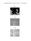 AQUEOUS DISPERSION OF FINE CARBON FIBERS, METHOD FOR PREPARING THE AQUEOUS     DISPERSION, AND ARTICLES USING THEREOF diagram and image