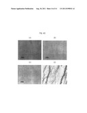 AQUEOUS DISPERSION OF FINE CARBON FIBERS, METHOD FOR PREPARING THE AQUEOUS     DISPERSION, AND ARTICLES USING THEREOF diagram and image