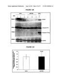 DIAGNOSIS AND TREATMENT OF ALZHEIMER S DISEASE (AD) diagram and image