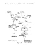 NOVEL CANOLA PROTEIN ISOLATE diagram and image