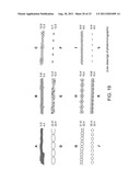 Microfabricated Crossflow Devices and Methods diagram and image