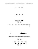 COMPOSITIONS COMPRISING A DEHALOGENASE SUBSTRATE AND A FLUORESCENT LABEL     AND METHODS OF USE diagram and image