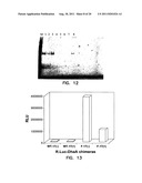 COMPOSITIONS COMPRISING A DEHALOGENASE SUBSTRATE AND A FLUORESCENT LABEL     AND METHODS OF USE diagram and image