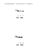 COMPOSITIONS COMPRISING A DEHALOGENASE SUBSTRATE AND A FLUORESCENT LABEL     AND METHODS OF USE diagram and image