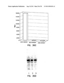 COMPOSITIONS COMPRISING A DEHALOGENASE SUBSTRATE AND A FLUORESCENT LABEL     AND METHODS OF USE diagram and image