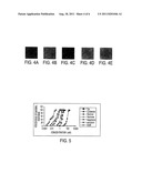 T1R HETERO-OLIGOMERIC TASTE RECEPTORS diagram and image