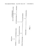 COMPOSITIONS FOR THE DETECTION OF MICROBIAL CONTAMINANTS diagram and image