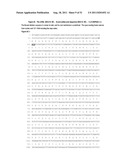 NUCLEIC ACIDS AND CORRESPONDING PROTEINS ENTITLED 202P5A5 USEFUL IN     TREATMENT AND DETECTION OF CANCER diagram and image