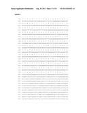 NUCLEIC ACIDS AND CORRESPONDING PROTEINS ENTITLED 202P5A5 USEFUL IN     TREATMENT AND DETECTION OF CANCER diagram and image