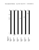 NUCLEIC ACIDS AND CORRESPONDING PROTEINS ENTITLED 202P5A5 USEFUL IN     TREATMENT AND DETECTION OF CANCER diagram and image