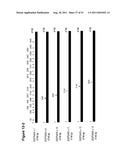 NUCLEIC ACIDS AND CORRESPONDING PROTEINS ENTITLED 202P5A5 USEFUL IN     TREATMENT AND DETECTION OF CANCER diagram and image