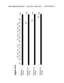 NUCLEIC ACIDS AND CORRESPONDING PROTEINS ENTITLED 202P5A5 USEFUL IN     TREATMENT AND DETECTION OF CANCER diagram and image