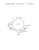 Recombinant Expression Vector Elements (REVES) for Enhancing Expression of     Recombinant Proteins in Host Cells diagram and image