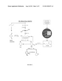 Methods and organisms for the growth-coupled production of 1,4-Butanediol diagram and image