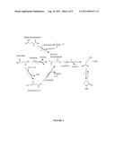 Methods and organisms for the growth-coupled production of 1,4-Butanediol diagram and image