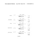 Reduced by-product accumulation for improved production of isobutanol diagram and image