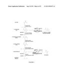 Reduced by-product accumulation for improved production of isobutanol diagram and image