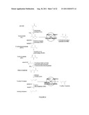 Reduced by-product accumulation for improved production of isobutanol diagram and image