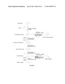 Reduced by-product accumulation for improved production of isobutanol diagram and image