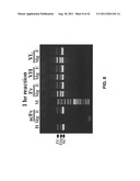 ANTIVIRAL AGENT AGAINST ANIMAL VIRUSES diagram and image