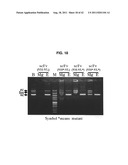 ANTIVIRAL AGENT AGAINST ANIMAL VIRUSES diagram and image