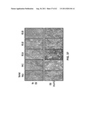 ANTIVIRAL AGENT AGAINST ANIMAL VIRUSES diagram and image