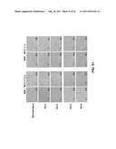 ANTIVIRAL AGENT AGAINST ANIMAL VIRUSES diagram and image