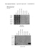 METHOD FOR THE DETECTION OF ENDOMETRIOSIS USING AN ME-2 ANTIGEN diagram and image