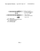 Enhancement of Bacillus Thuringiensis Cry Toxicities to Lesser Mealworm     Alphitobius Diaperinus diagram and image