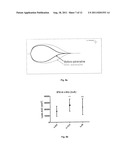 Systemic Pro-hemostatic Effect of Sympathicomimetics with Agonistic     Effects on Alfa-Adrenergic and/or Beta-Adrenergic Receptors of the     Sympathetic Nervous System, Related to Improved Clot Strength diagram and image